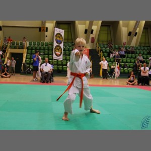 Zajęcia karate i samoobrony