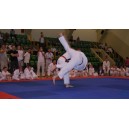 Pokazy karate i samoobrony
