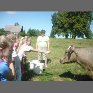 Warsztaty i zabawy w Jabłkowej Krainie