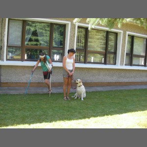 Certyfikacja psa terapeutycznego 