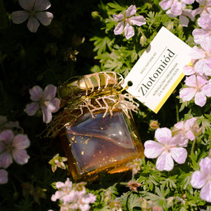 Ekologiczne produkty - Manufaktura Zdrowia Kraina Skrwy