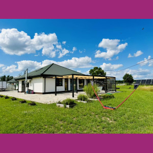 Warsztaty edukacyjne "Żywa zdrowa kuchnia"