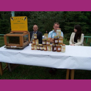 Wioska Miodowa – miejsce pełne pszczelej magii i tradycji